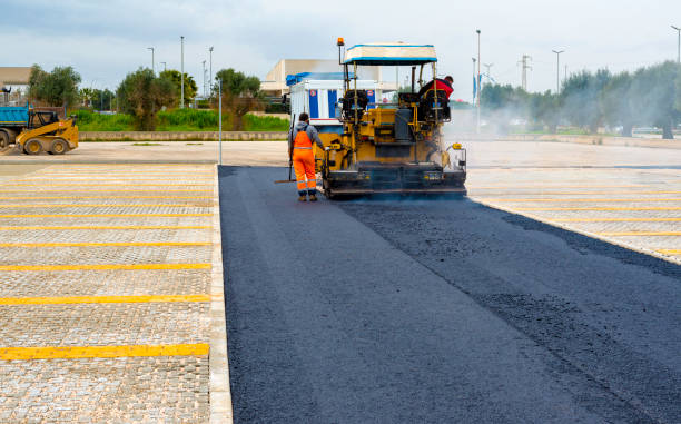 Best Local Driveway Pavers  in El Cerro, NM