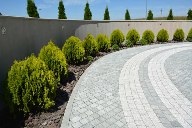Reliable El Cerro, NM Driveway Pavers Solutions