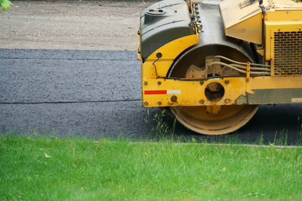 Best Local Driveway Pavers  in El Cerro, NM